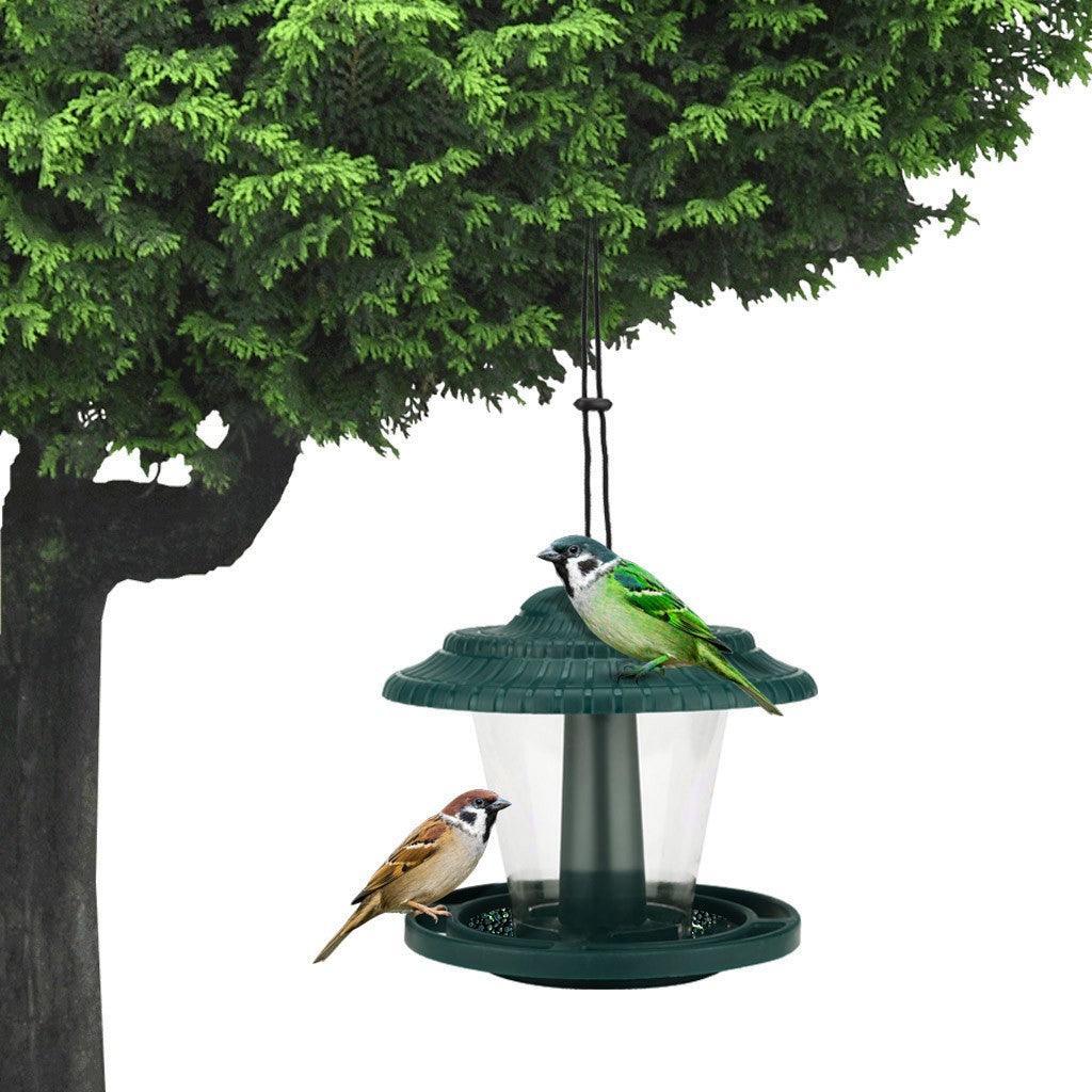 Clearview Bird Buffet