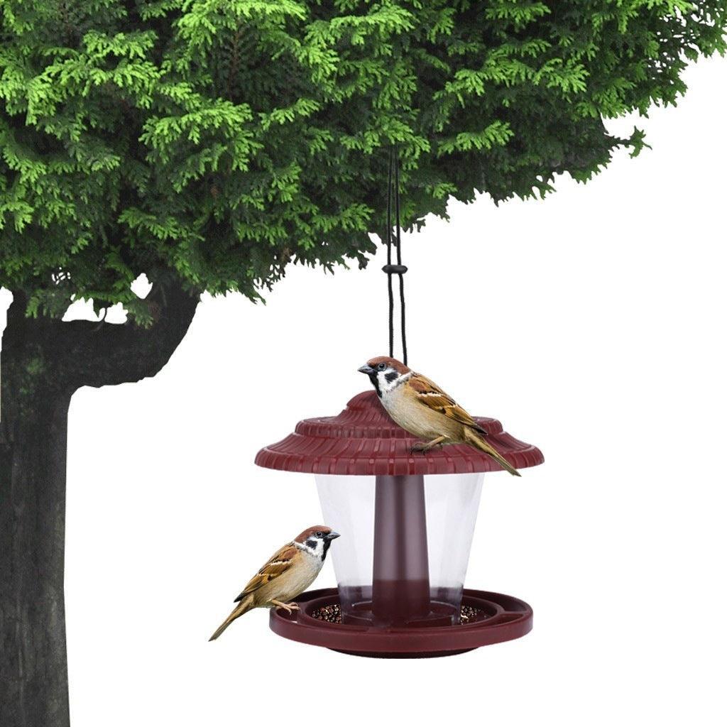 Clearview Bird Buffet