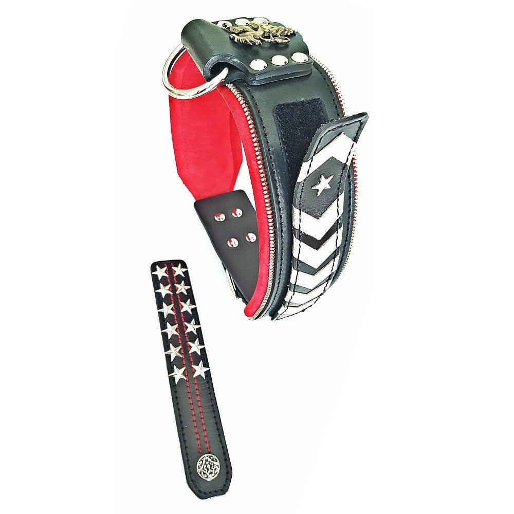 leather dog collar