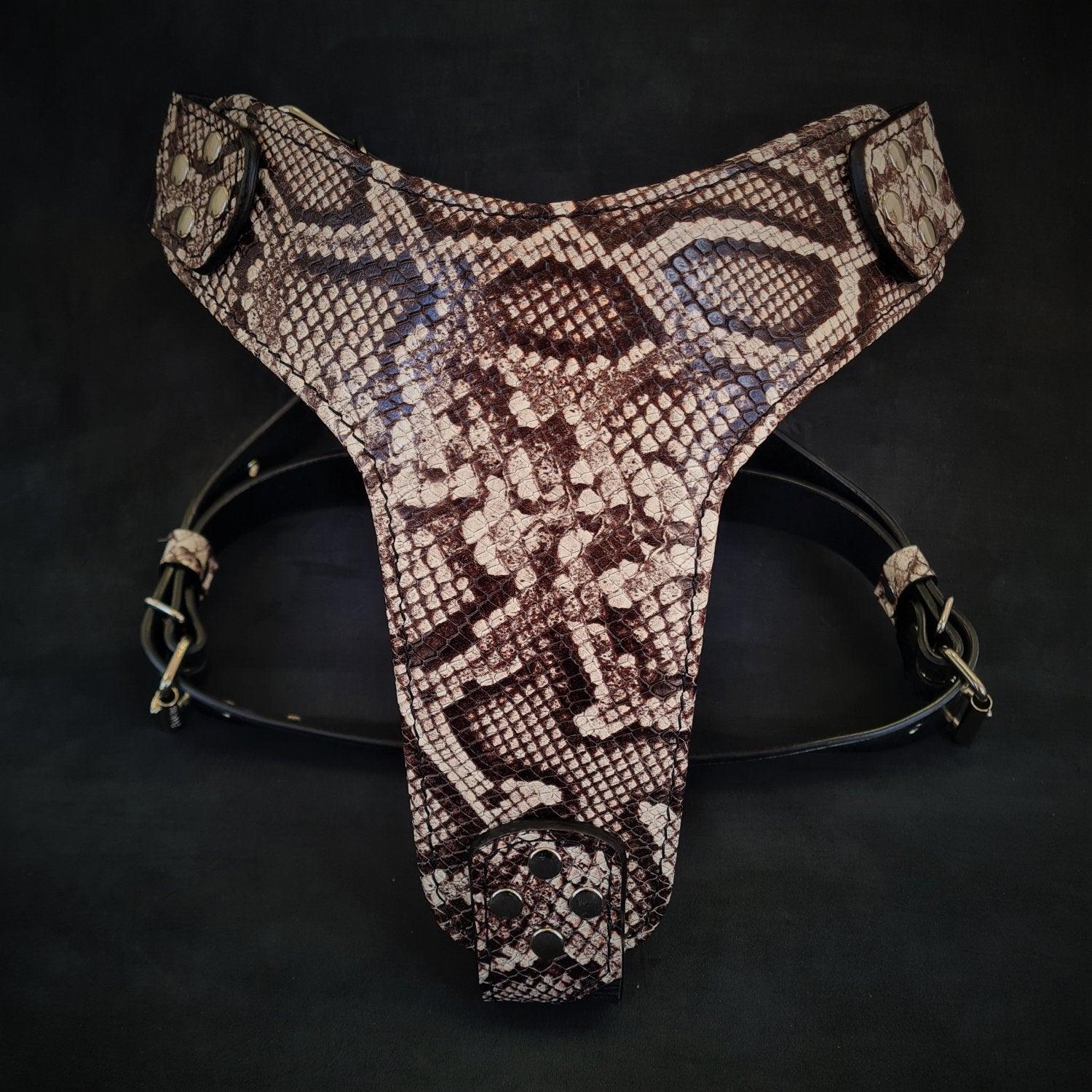 Rock Python harness
